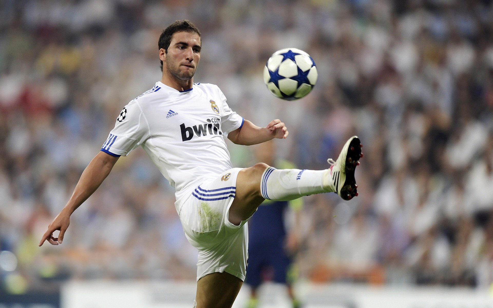 关于生死战世俱杯前瞻：浓眉伤情更新，北京国安冲击零封纪录的信息